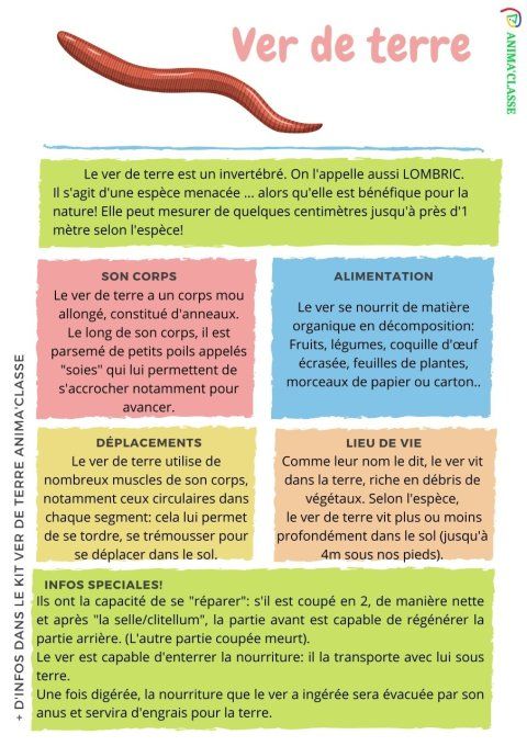 Fiches insectes gratuites!